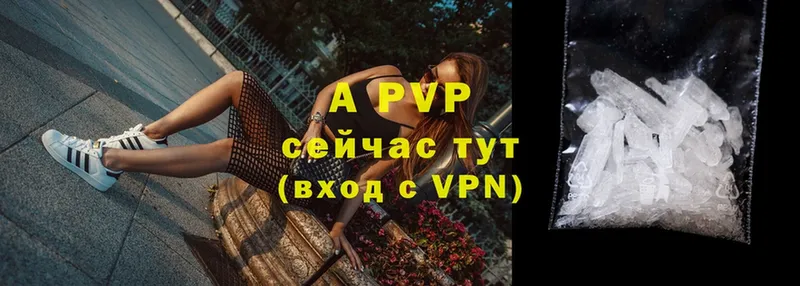 Альфа ПВП СК  Майкоп 